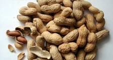 Yer Fıstığının Faydaları Nelerdir?