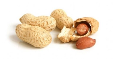 Yer Fıstığı Protein Kullanımı ve Faydaları Nelerdir?