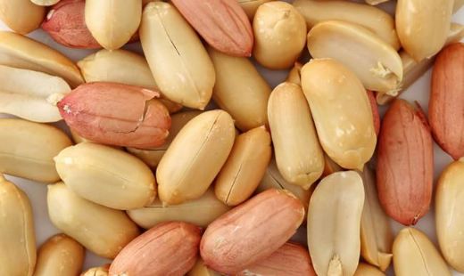 Yer Fıstığı Kalori Oranı